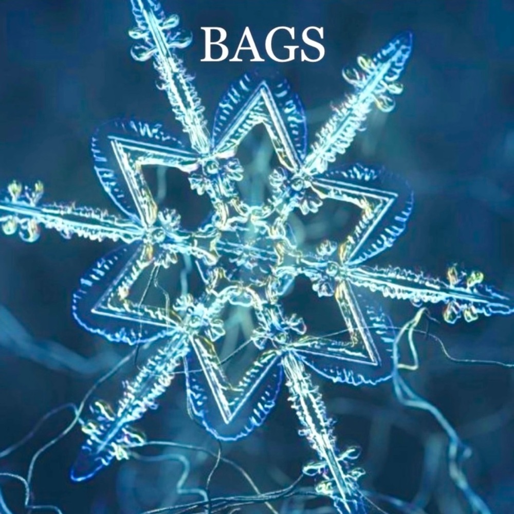 ☃️ All bags are on SALE! ☃️